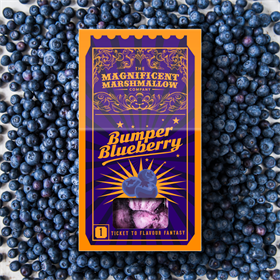 Bumper Blueberry